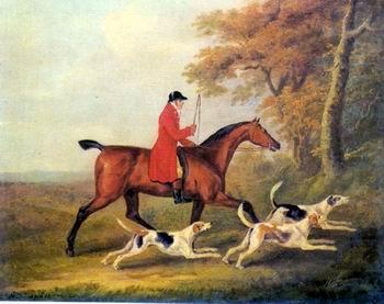 unknow artist Classical hunting fox, Equestrian and Beautiful Horses, 105. oil painting picture